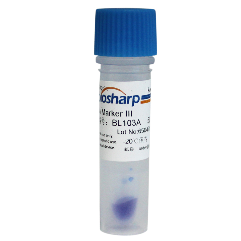 DNA Marker III（300-5000bp）biosharp实验室专用